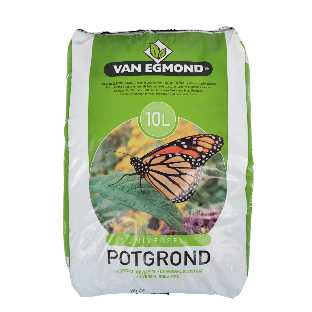 Blumenerde - 10 Liter - Pflanzfix24.de - Pflanzfix24.de
