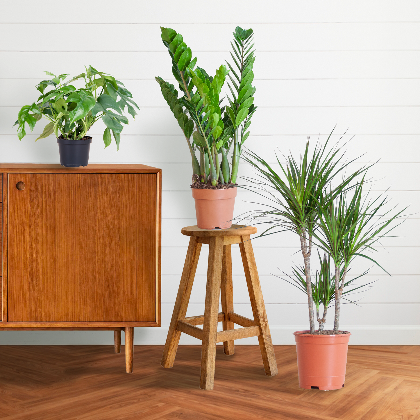 Shade Plant Box medium ohne Dekotopf | Pflanzfix24.de - Pflanzfix24.de
