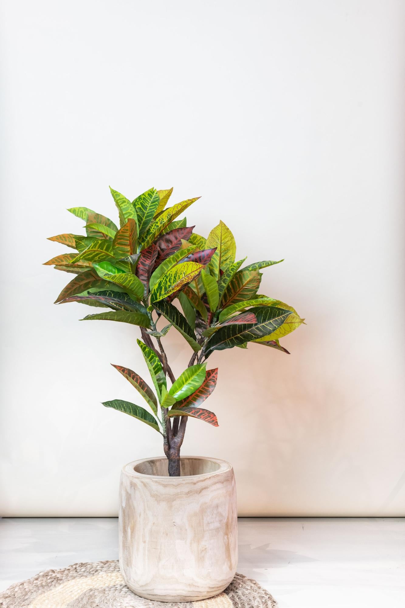 Croton Codiaeum Kunstpflanze 95cm – Wunderstrauch | Pflanzfix24.de - Pflanzfix24.de