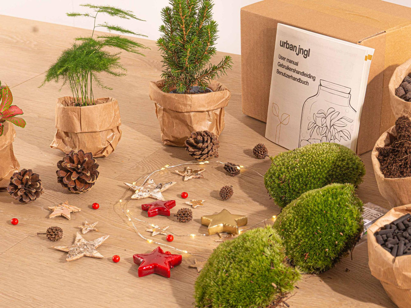 Feestdagen Terrarium Startpakket - Mini-kerstboom - 3 planten - Navulling & Decoratie - DIY Christmas - Pflanzfix24