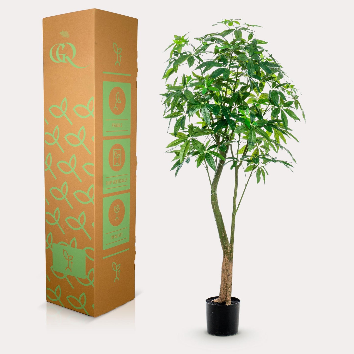 Kunstpflanze Pachira Aquatica 180 cm – Glückskastanie & Pflegeleicht | Pflanzfix24.de - Pflanzfix24.de