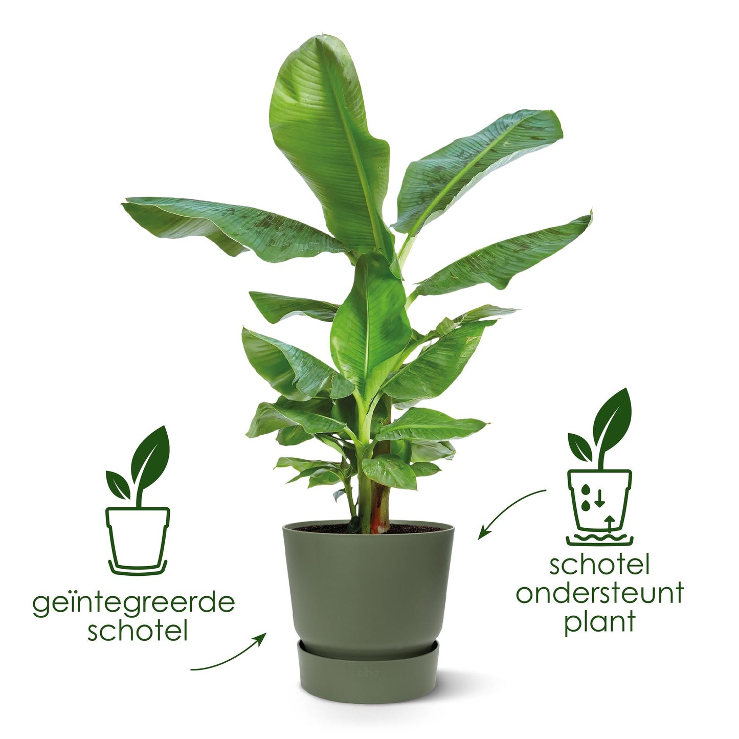 Blumentopf elho Greenville Round Weiß – Ø39 x H37 cm | Pflanzfix24.de - Pflanzfix24.de