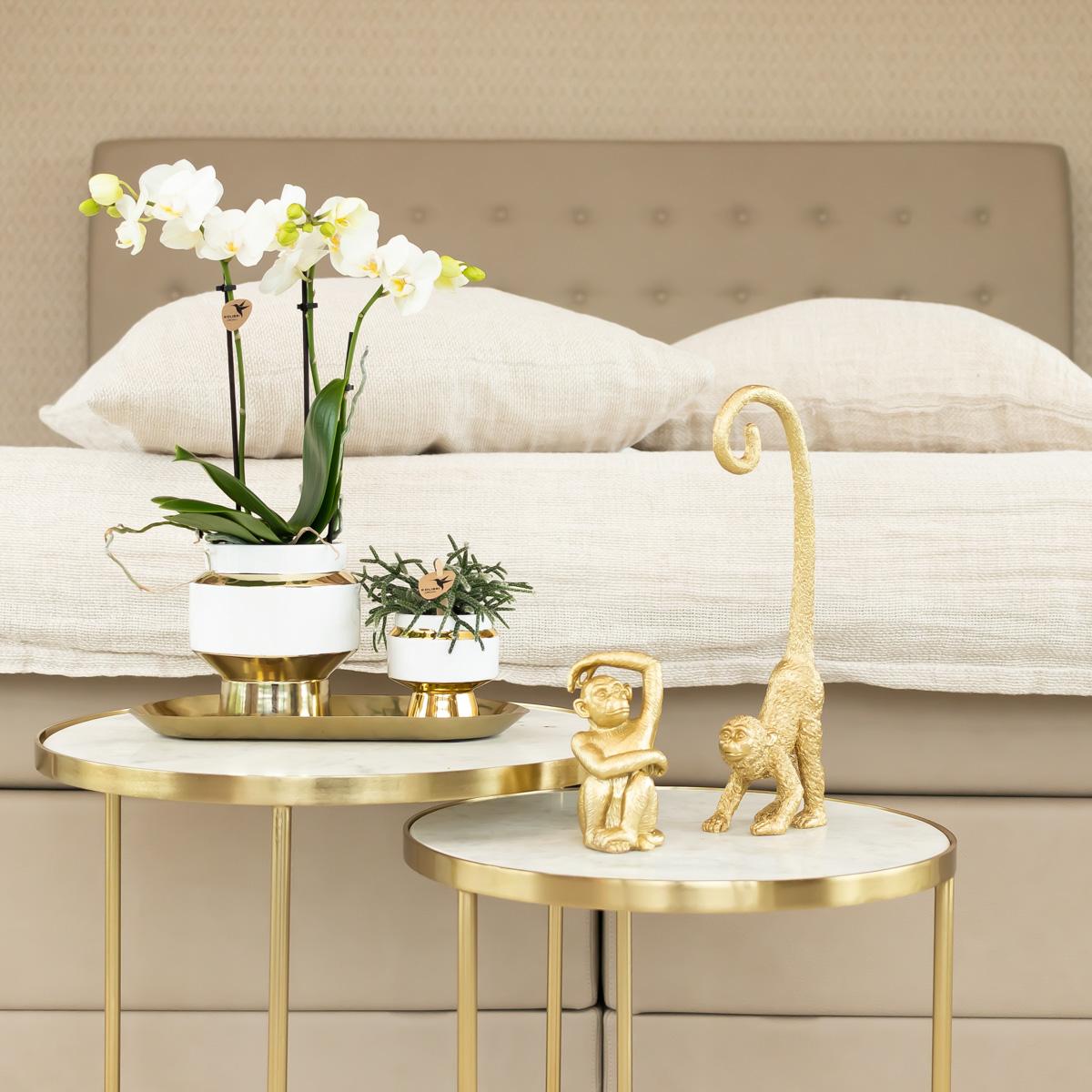 Ovales Tablett Gold Ø30cm – Kolibri Home | Pflanzfix24.de - Pflanzfix24.de