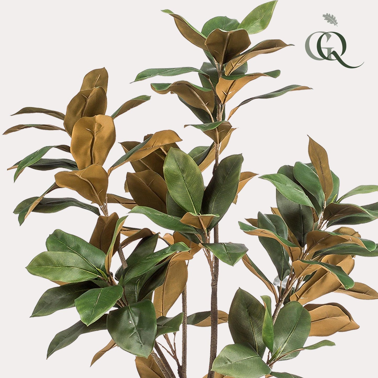 Kunstpflanze Magnolia Grandiflora – 150 cm – Realistischer Kunstbaum für Zuhause & Büro | Pflanzfix24.de - Pflanzfix24.de