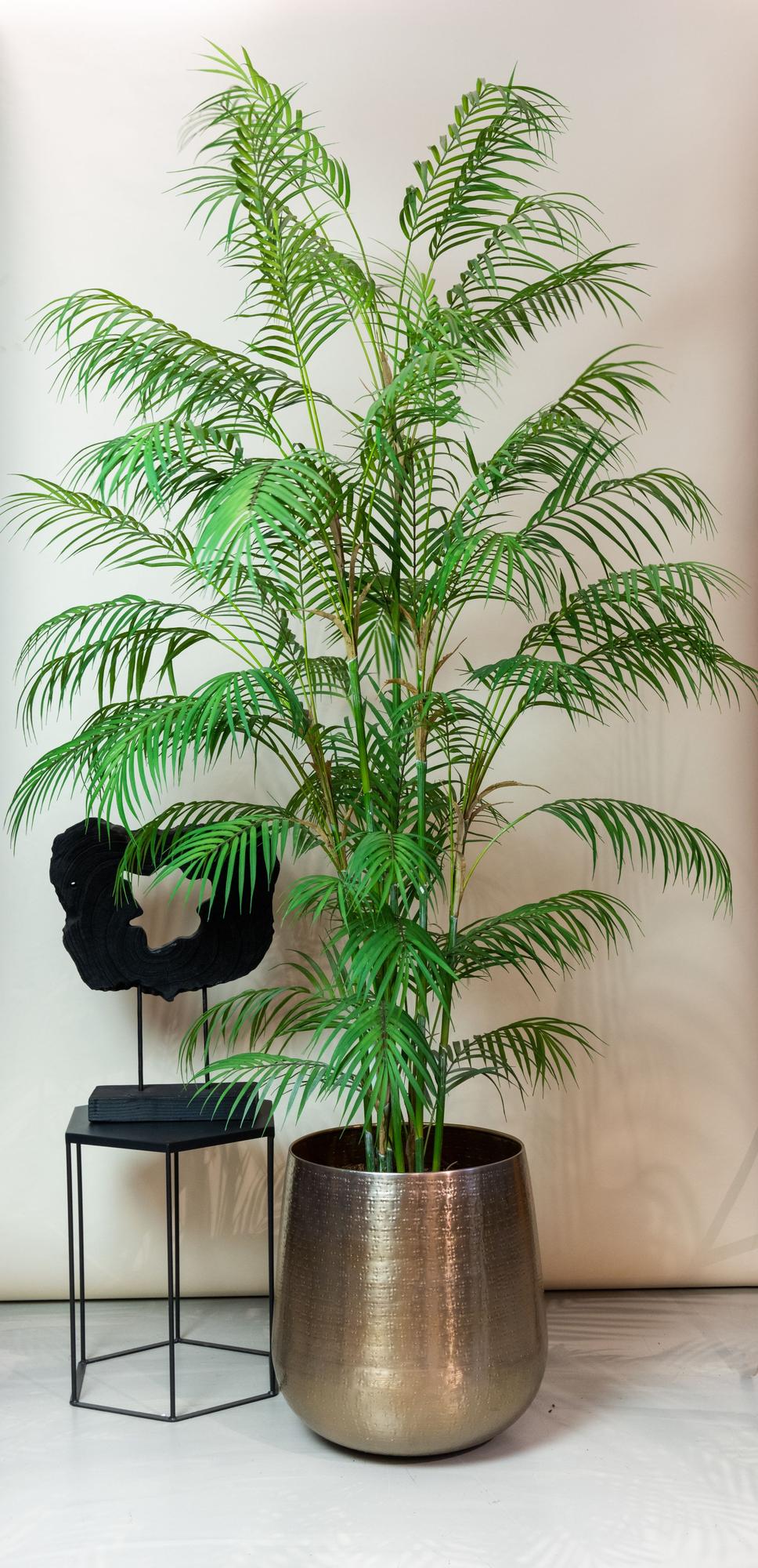 Kunstpflanze Chamaedorea Elegans Bergpalme 180 cm – Pflanzfix24