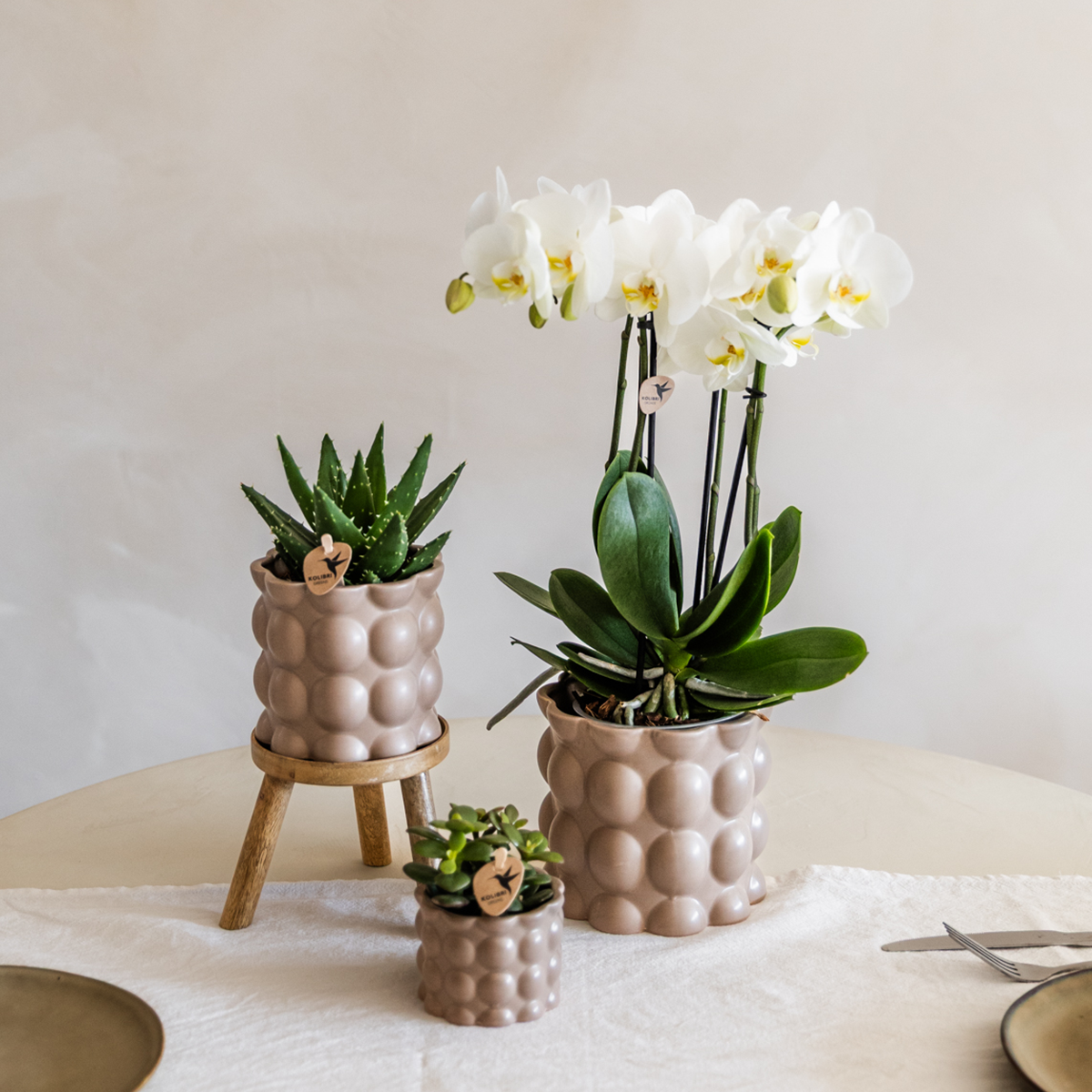 pflanzfix24 | Cotton sierpot - Sand - Ø9cm