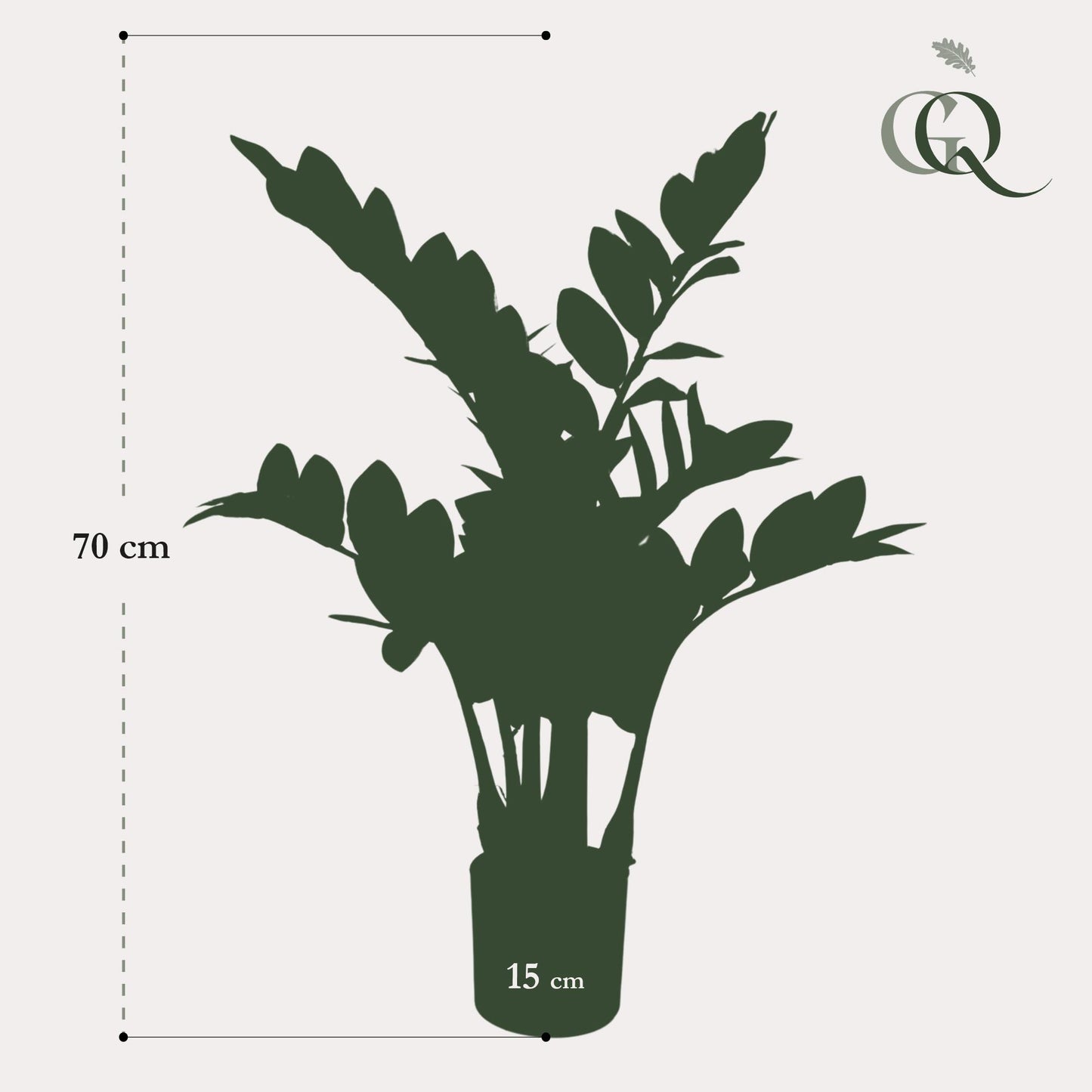 Kunst-Zamioculcas (Zimmerpalme) 70 cm – Pflegeleichte Deko | Pflanzfix24.de - Pflanzfix24.de