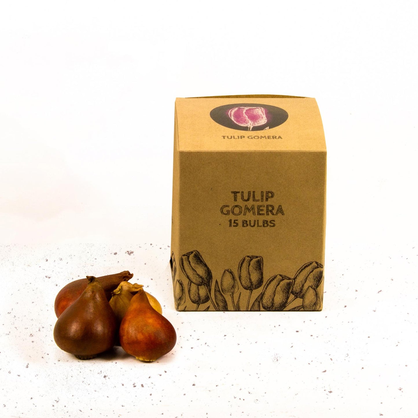Tulpe 'Gomera' - 15 Blumenzwiebeln - Flowerbulbs Amsterdam - Pflanzfix24