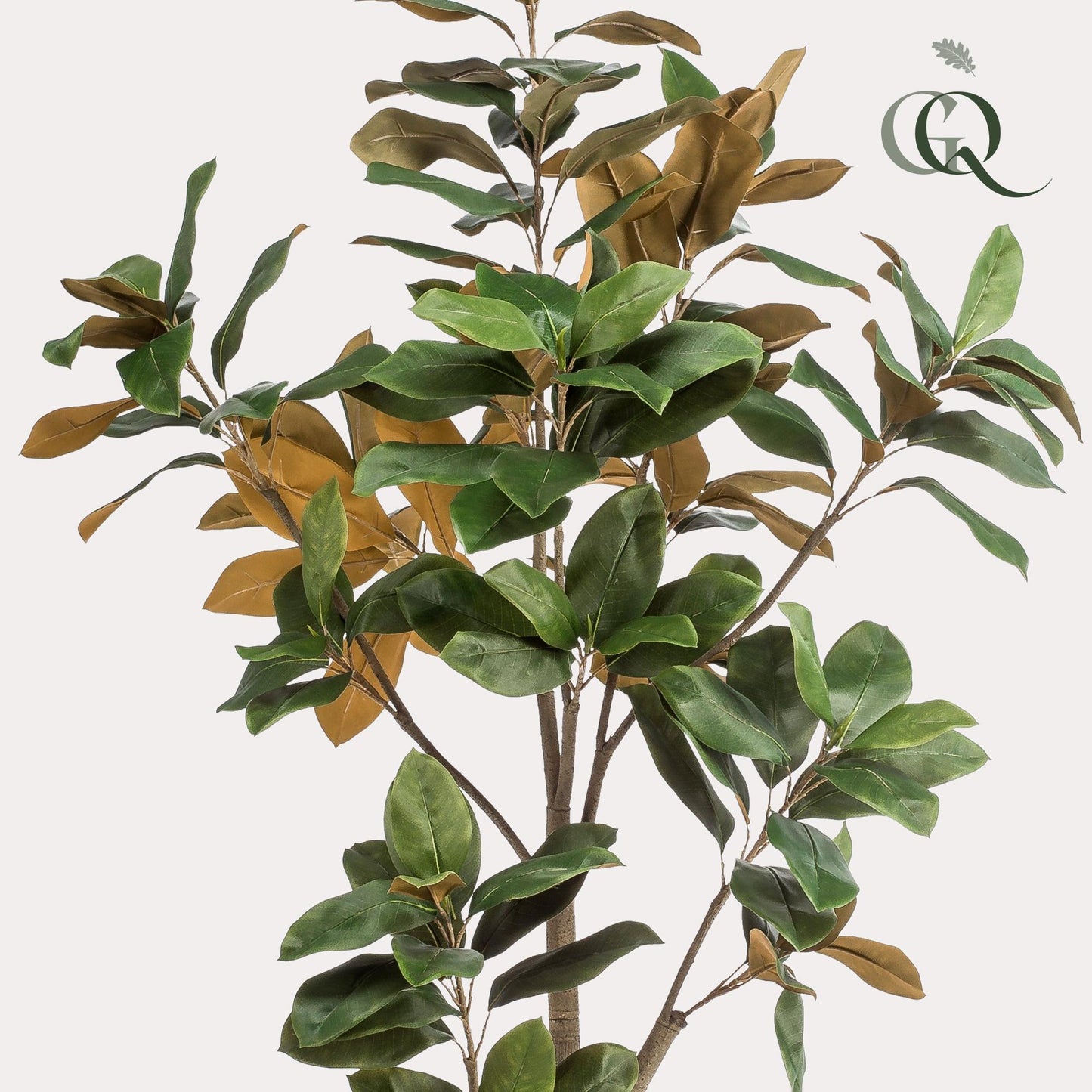Kunstpflanze Magnolia Grandiflora – 180 cm – Realistischer Kunstbaum für Innenräume | Pflanzfix24.de - Pflanzfix24.de