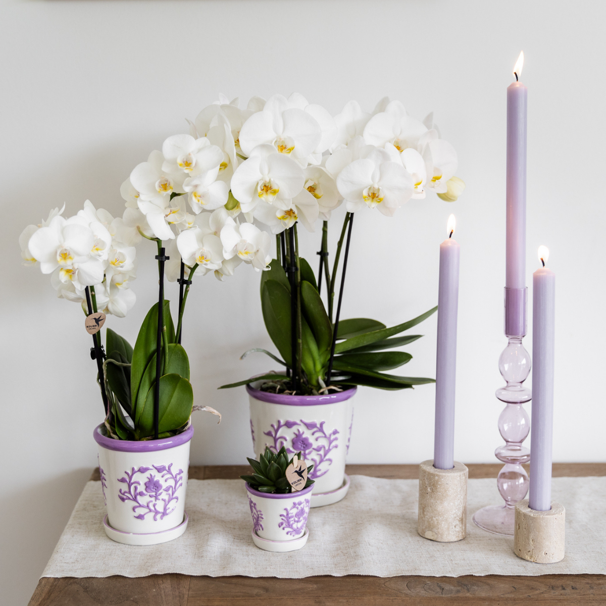 Malaga Topf Lilac Ø9cm – Dekorativer Keramiktopf | Pflanzfix24