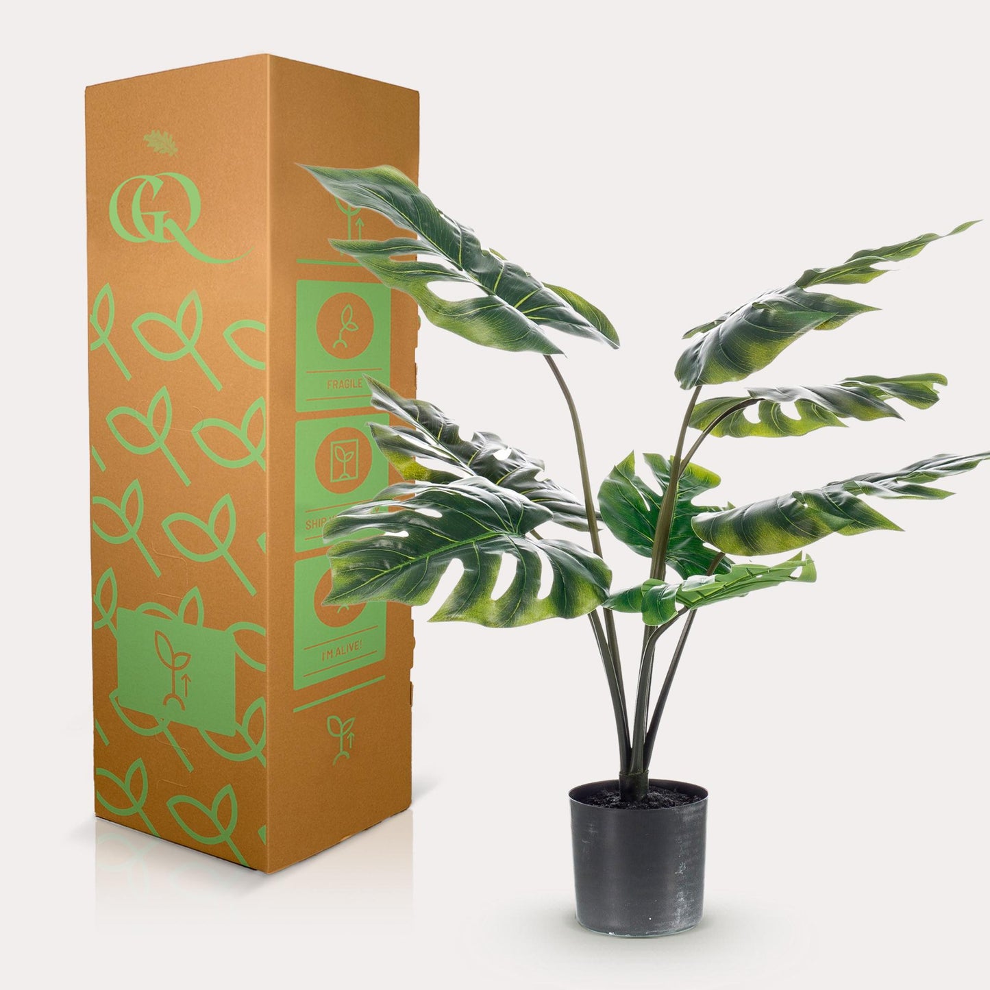 Künstliche Monstera Deliciosa - 65 cm - Pflanzfix24.de - Pflanzfix24.de