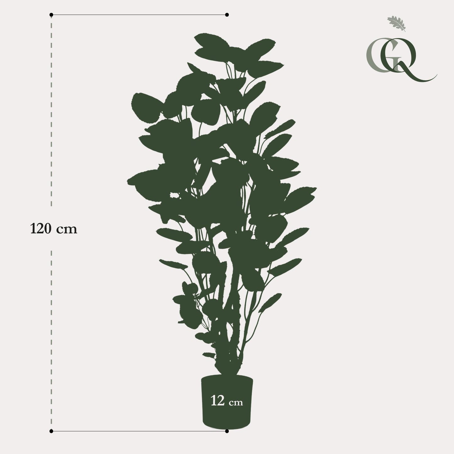 Kunstpflanze Polyscias Aralia 105 cm – Pflegeleicht & Realistisch | Pflanzfix24.de - Pflanzfix24.de