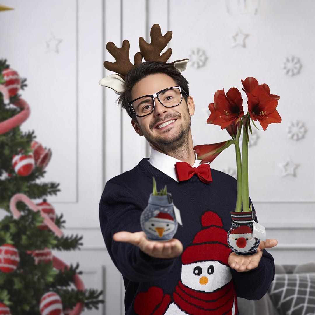 No Water Flowers® Fashionz Xmas Fun Classic Mix (3 pack) + Red flower - Pflanzfix24