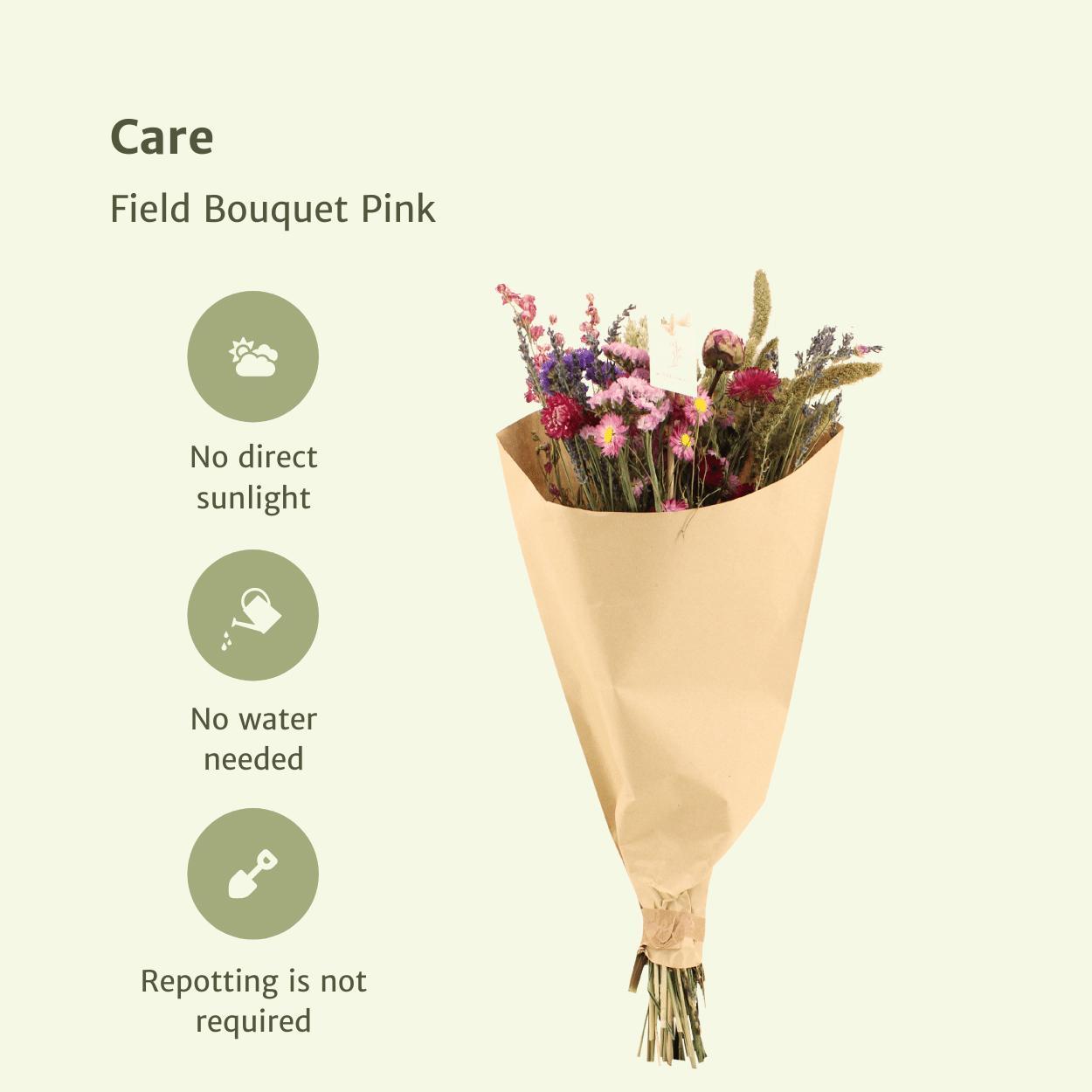 10x Field Bouquet Pink Trockenstrauß 50cm – Natürliche Deko | Pflanzfix24.de - Pflanzfix24.de