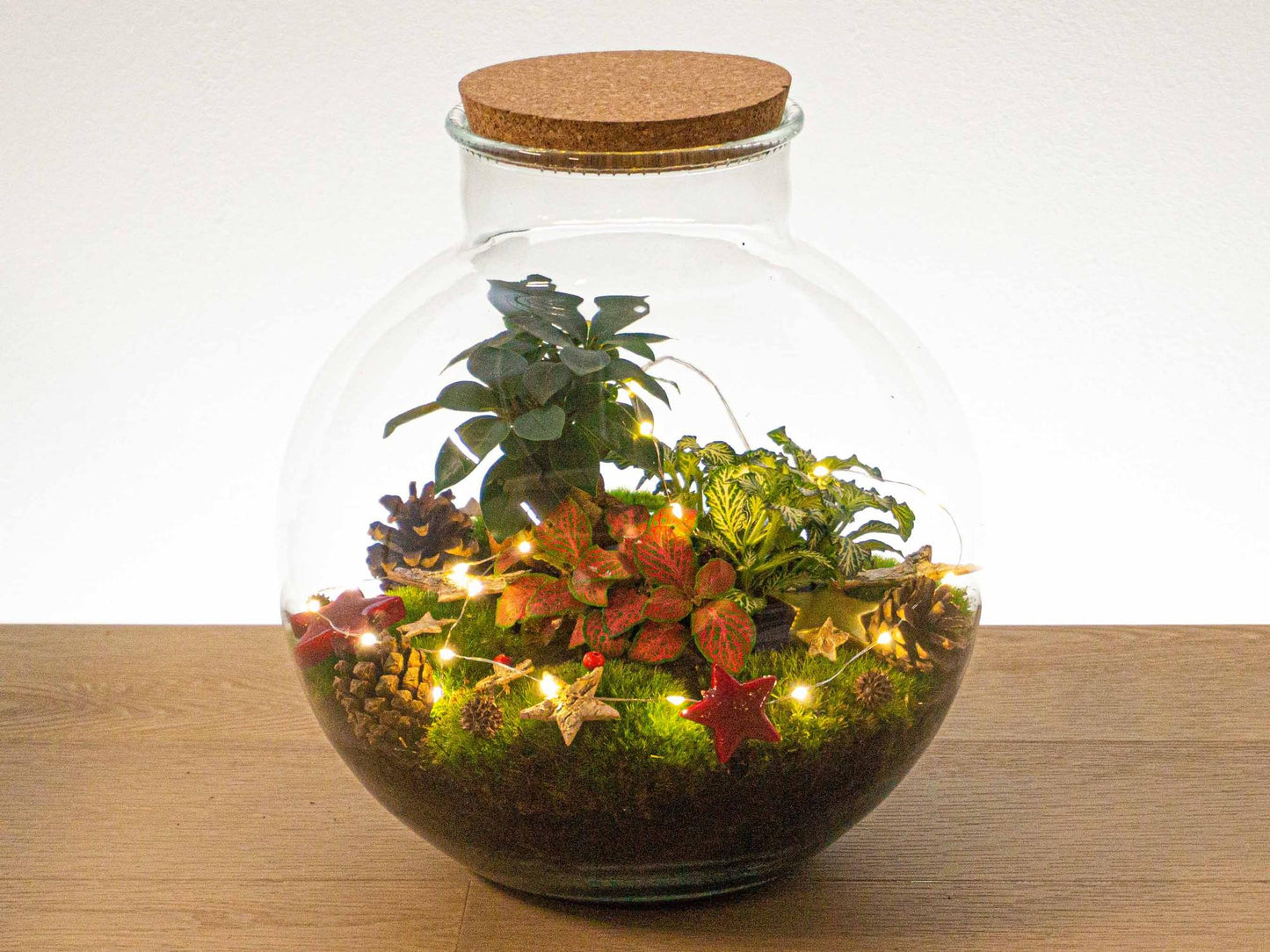 Christmas Terrarium Decoration Kit - Pflanzfix24