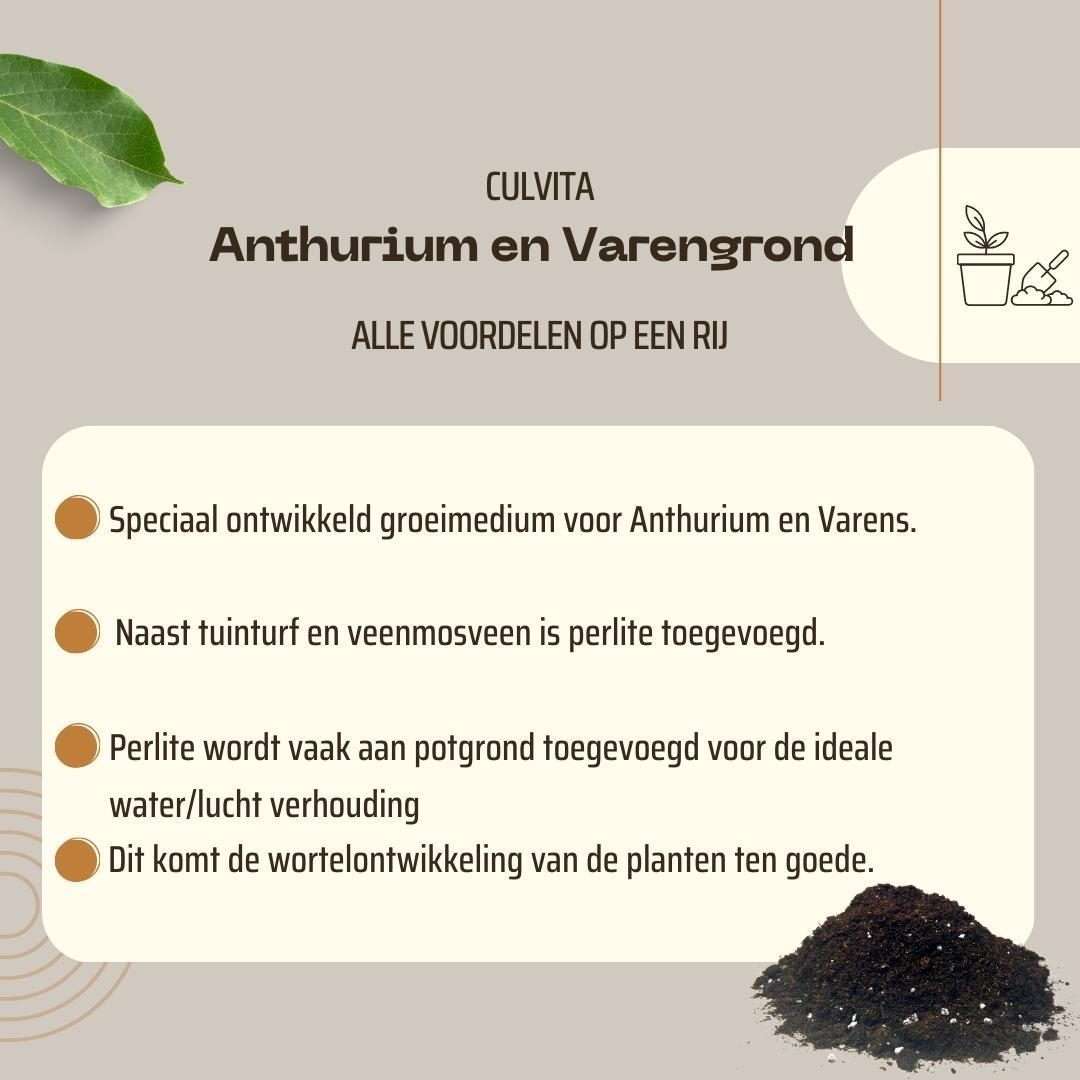 Culvita - Anthurium and Fernerde 5 Liter - Blumenerde - Pflanzfix24.de - Pflanzfix24.de