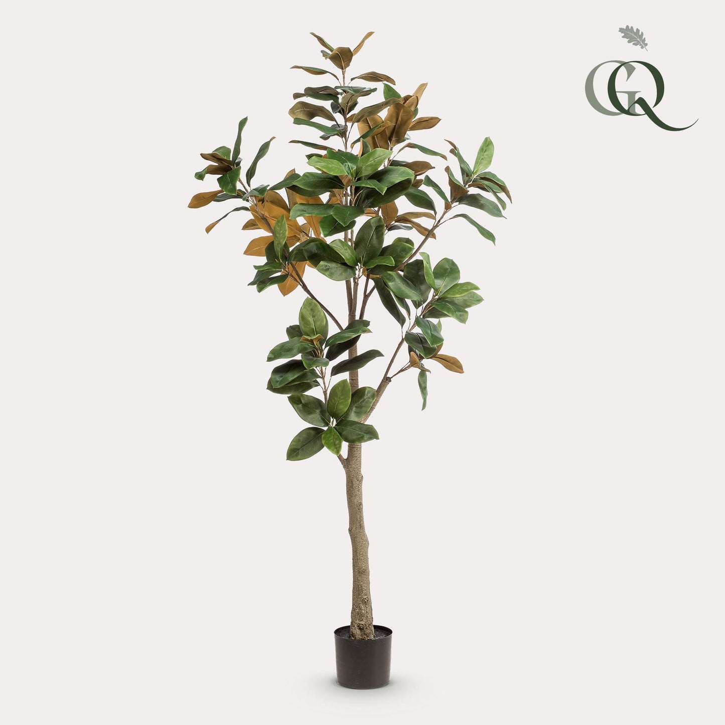 Kunstpflanze Magnolia Grandiflora – 180 cm – Realistischer Kunstbaum für Innenräume | Pflanzfix24.de - Pflanzfix24.de