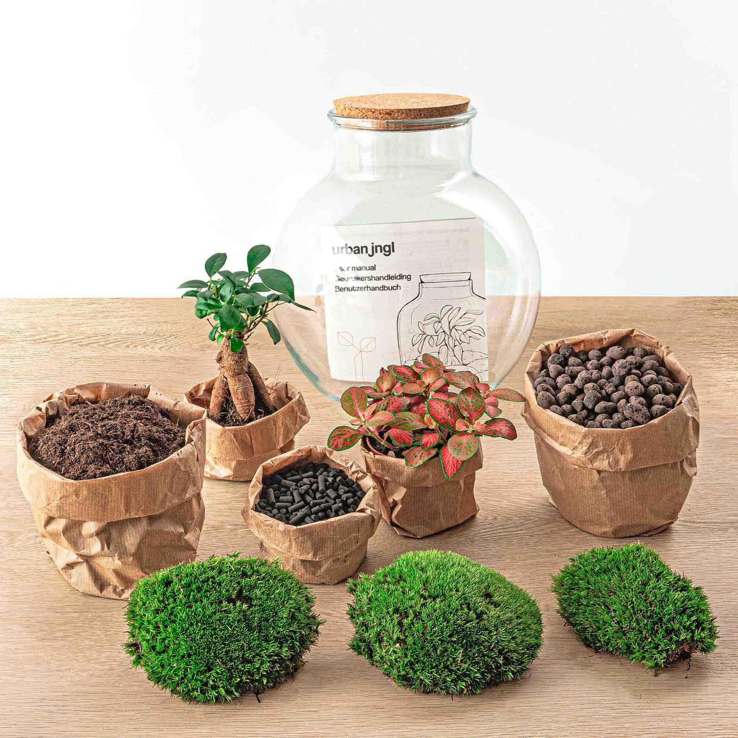 Flaschengarten - Teddy Bonsai - DIY Terrarium Set - Pflanzfix24