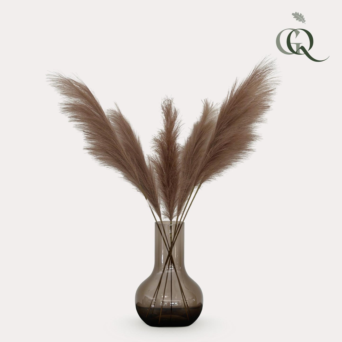 Pampas Pluimen Kunsttakken - Bruin - Set van 6 - 115cm - Pflanzfix24