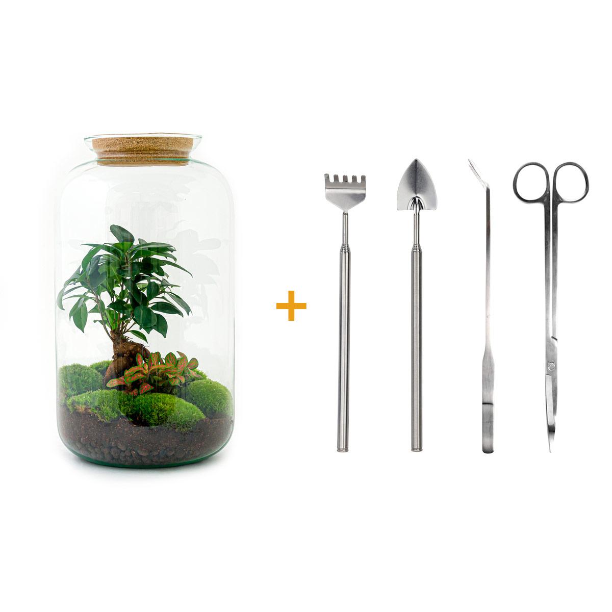 Flaschengarten - Sven Bonsai - DIY-Set - 43 cm - Pflanzfix24.de - Pflanzfix24.de