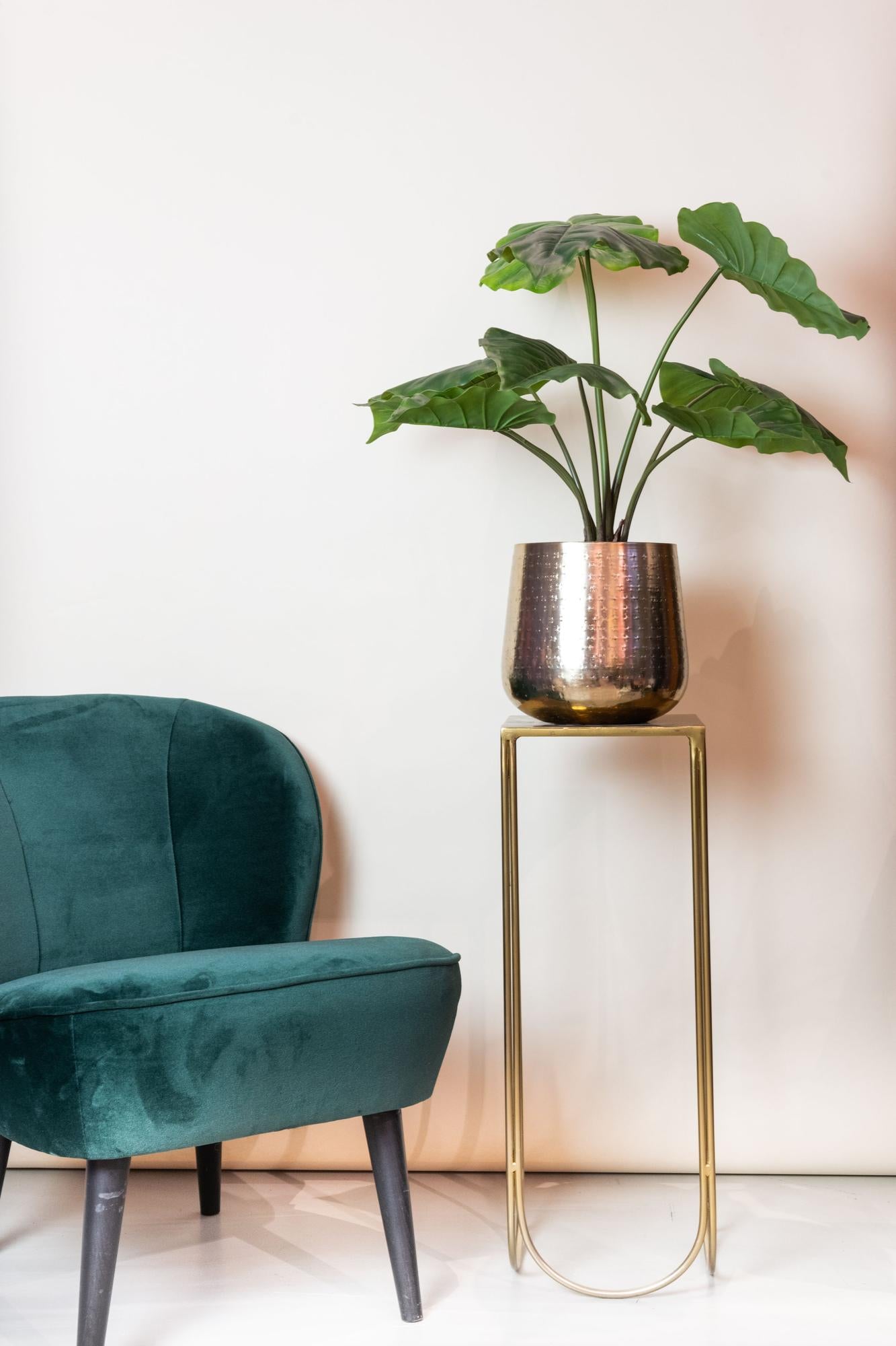 Kunst-Alocasia 70 cm – Pflanzfix24.de - Pflanzfix24.de