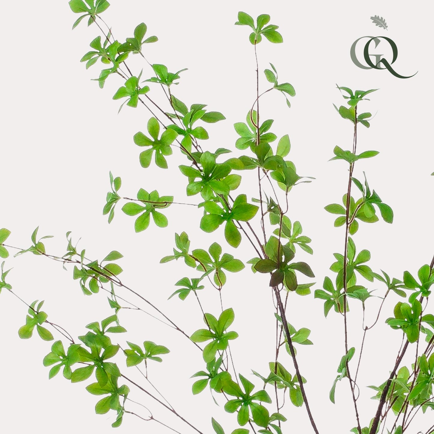 Kunst-Tropaeolum Speciosum 150 cm – Ostindische Kirsche | Pflanzfix24.de - Pflanzfix24.de