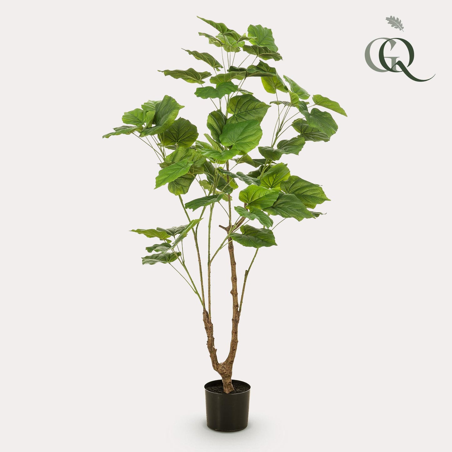 Kunstpflanze Ficus Umbellata 125 cm | Pflanzfix24.de - Pflanzfix24.de