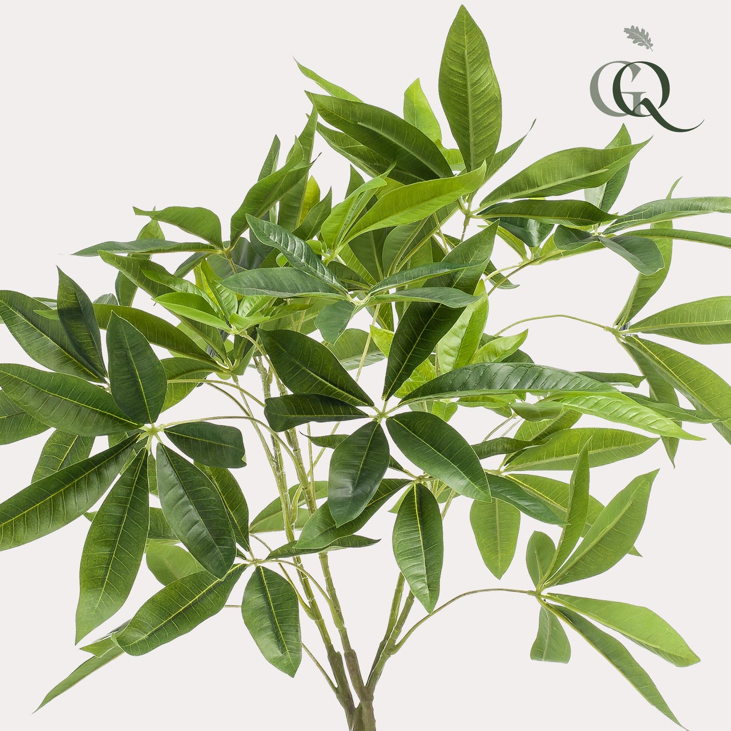 Kunstpflanze Pachira Aquatica Geldbaum 90 cm | Pflanzfix24.de - Pflanzfix24.de