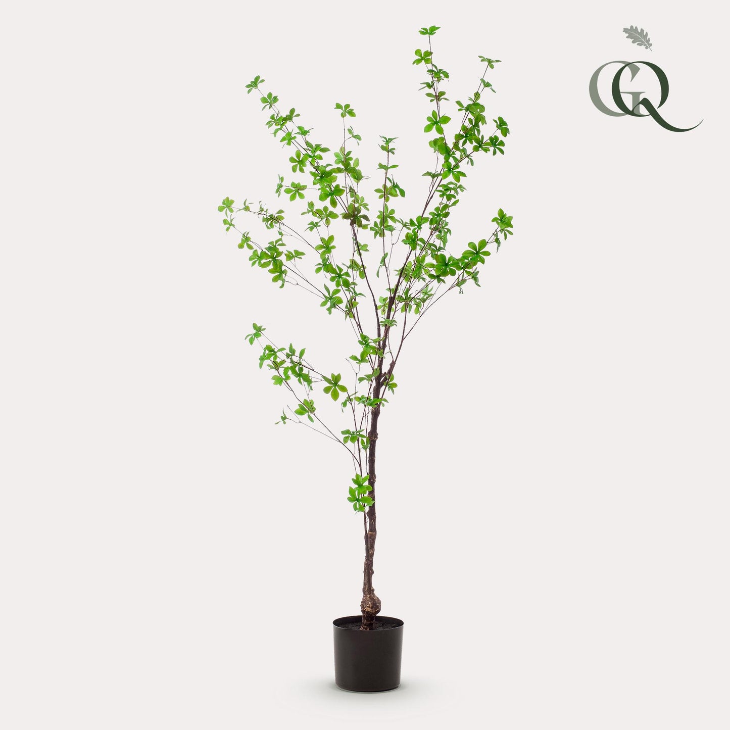Kunst-Tropaeolum Speciosum 150 cm – Ostindische Kirsche | Pflanzfix24.de - Pflanzfix24.de
