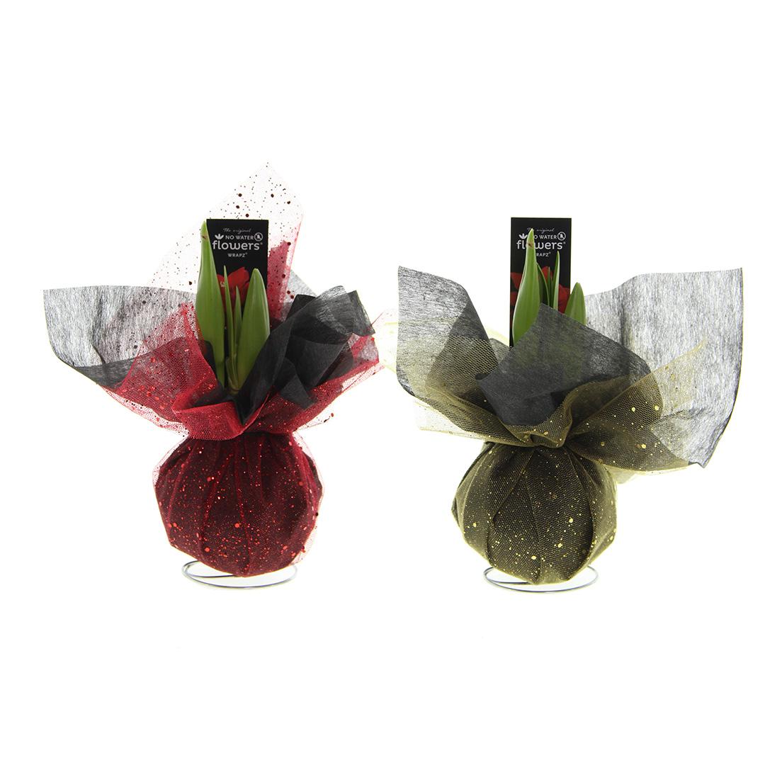 No Water Flowers® (wax amaryllis) | Wrapz Mix (2 pack) + Red flower - Pflanzfix24