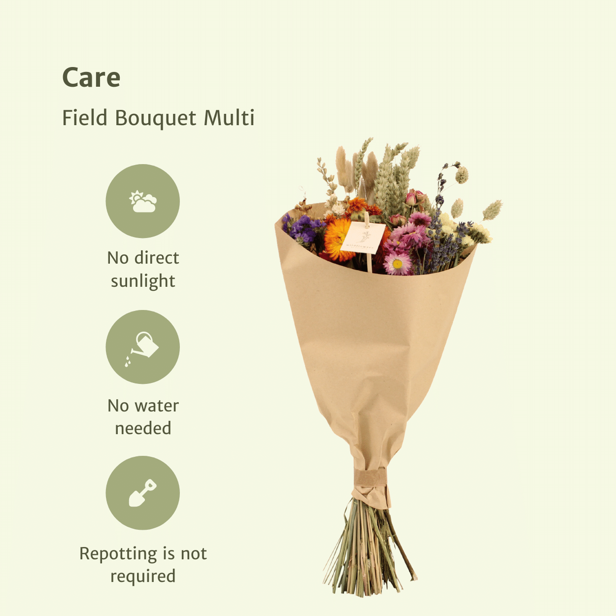 Trockenblumen Feldblumenstrauß Multi Ø20cm | Pflanzfix24.de - Pflanzfix24.de