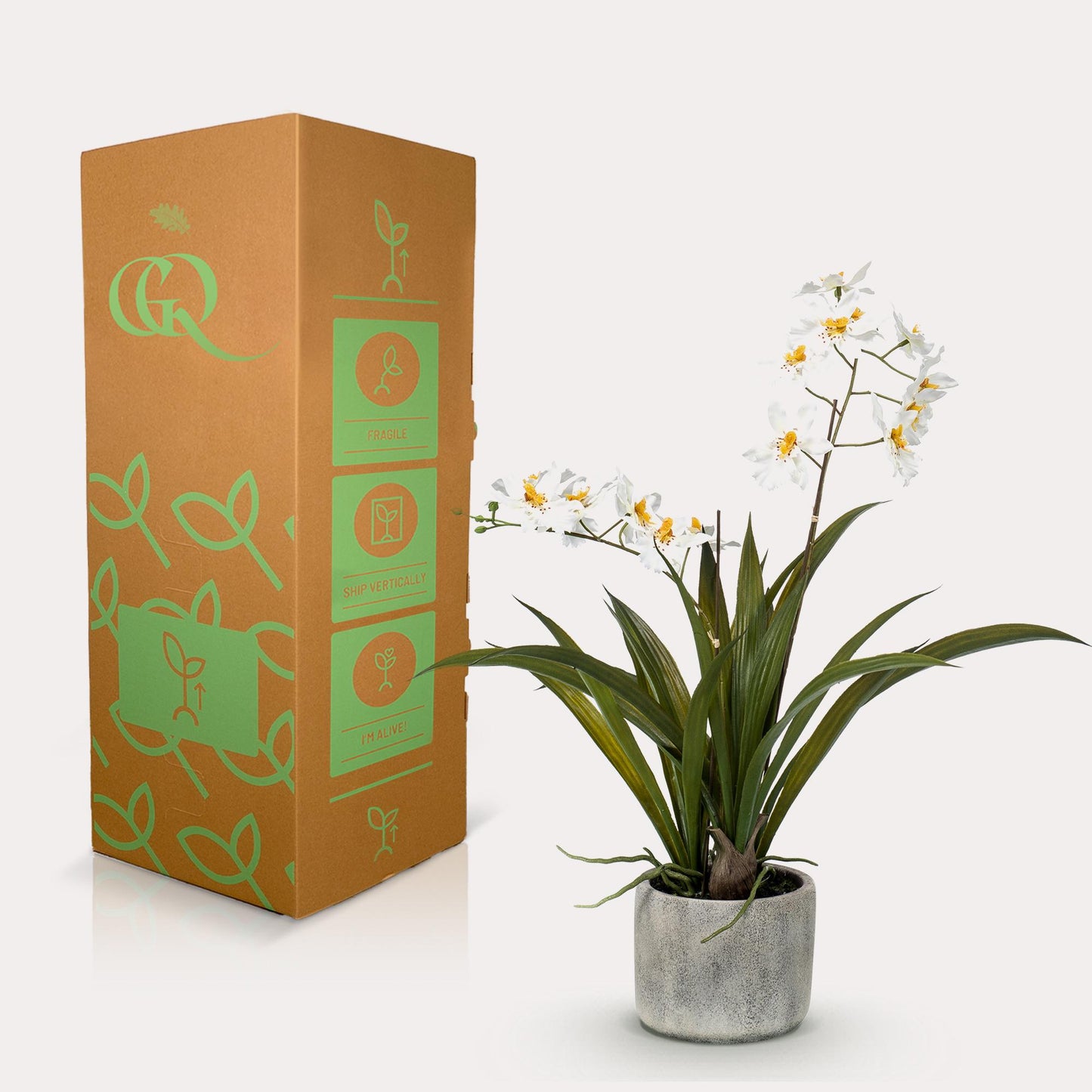 Kunstpflanze Orchidee Weiß 45 cm | Pflanzfix24.de - Pflanzfix24.de