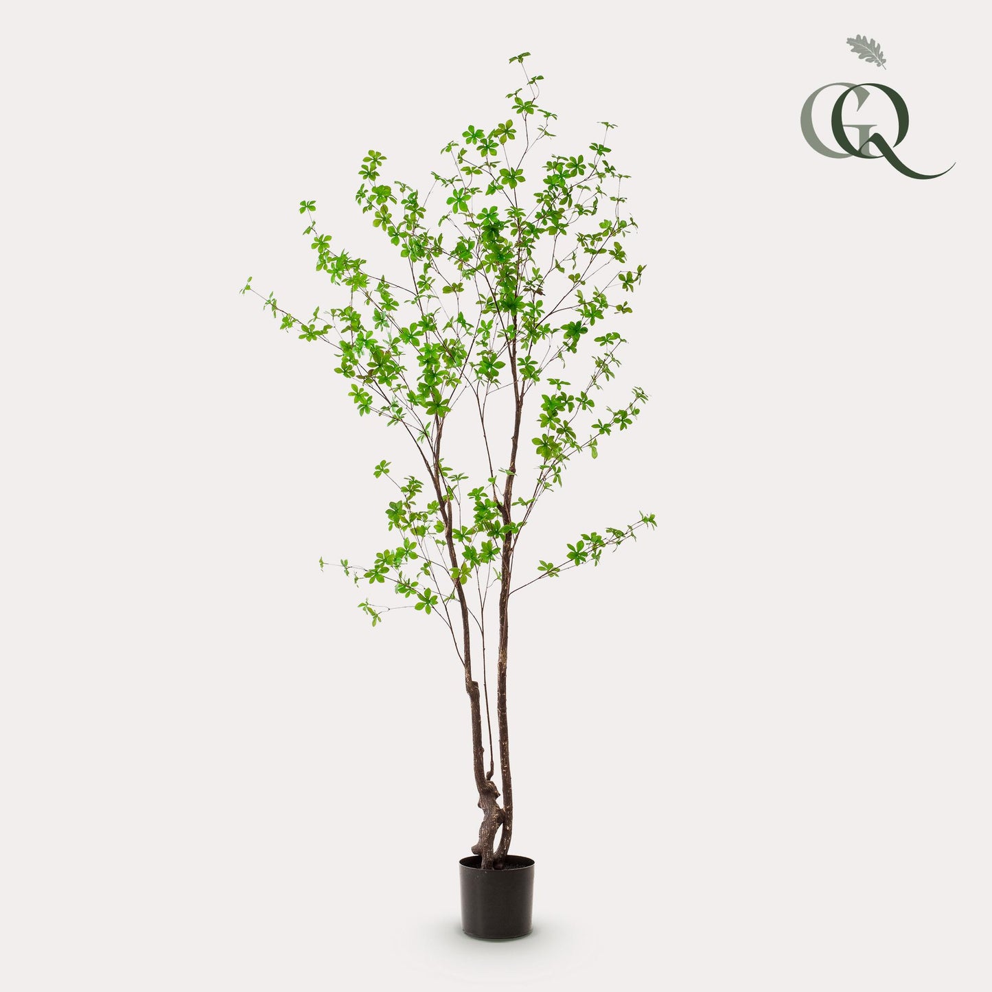 Kunst-Tropaeolum Speciosum 210 cm – Ostindische Kirsche | Pflanzfix24.de - Pflanzfix24.de