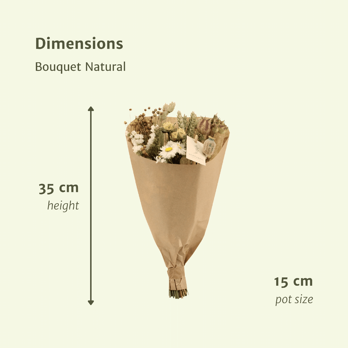 Trockenblumen Feldblumenstrauß Natürlich Ø15cm | Pflanzfix24.de - Pflanzfix24.de