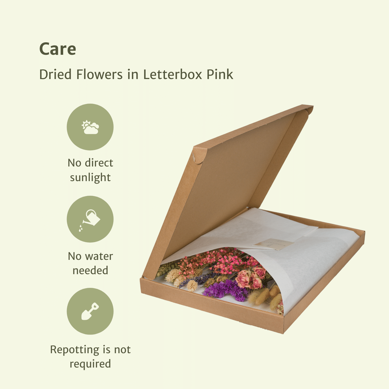 Trockenblumen Pink im Briefkasten – Pflanzfix24.de - Pflanzfix24.de