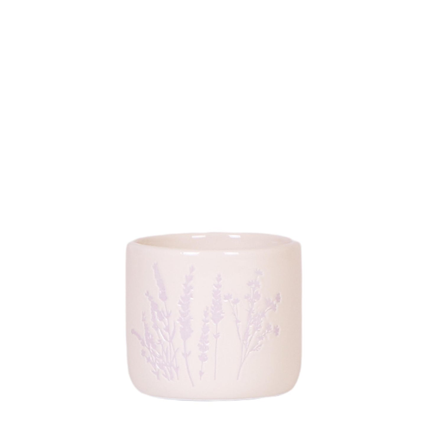 Floraler Blumentopf Lavendel Ø6cm – Pflanzfix24.de - Pflanzfix24.de