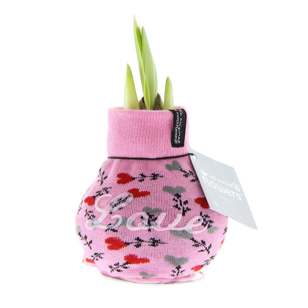 No Water Flowers® | Fashionz Love - Pink + Red flower - Pflanzfix24