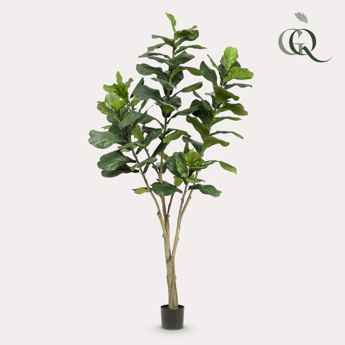Kunstpflanze Ficus Lyrata 210 cm | Pflanzfix24.de - Pflanzfix24.de