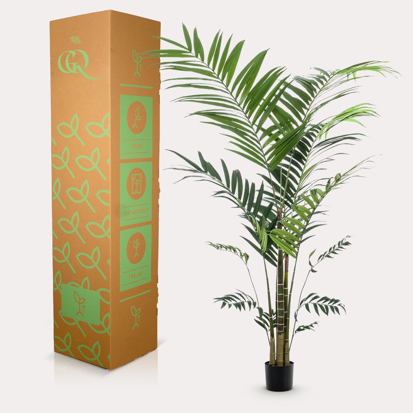 Kunstpflanze Kentia Kentiapalm 210 cm | Pflanzfix24.de - Pflanzfix24.de