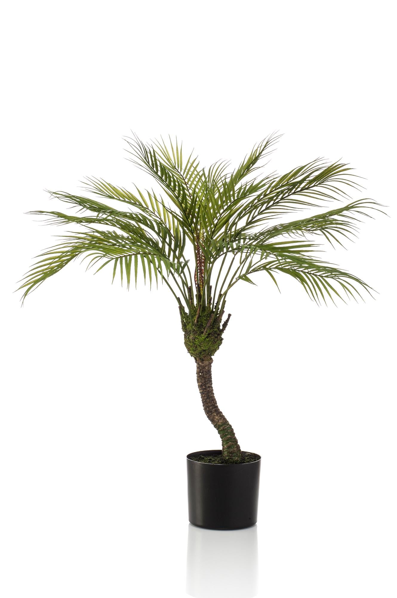 Kunstpalme Chamaedorea Elegans 85 cm – Pflanzfix24.de - Pflanzfix24.de