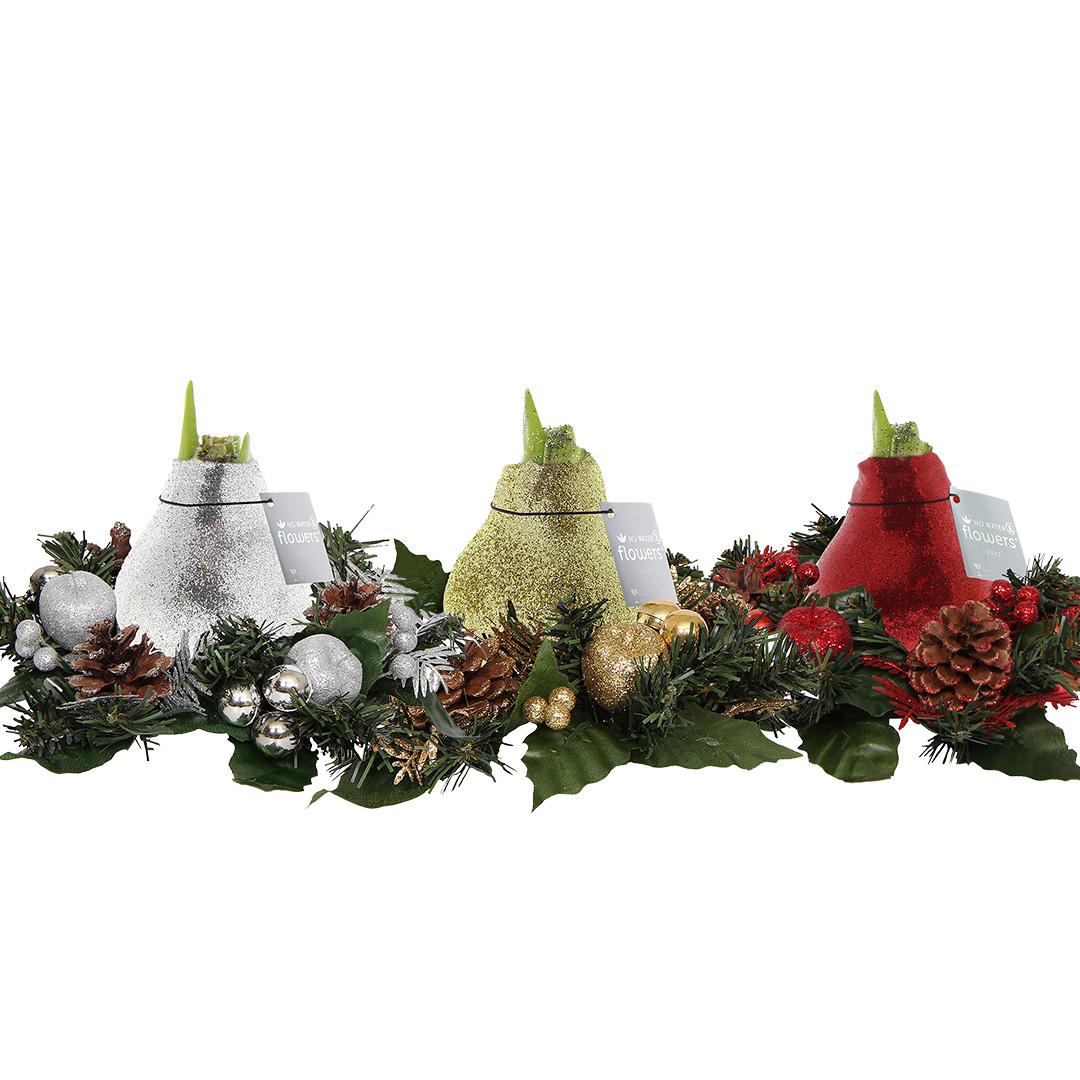 No Water Flowers® (wax amaryllis) | Wreath Christmas Mix (3 pack) + Red flower - Pflanzfix24