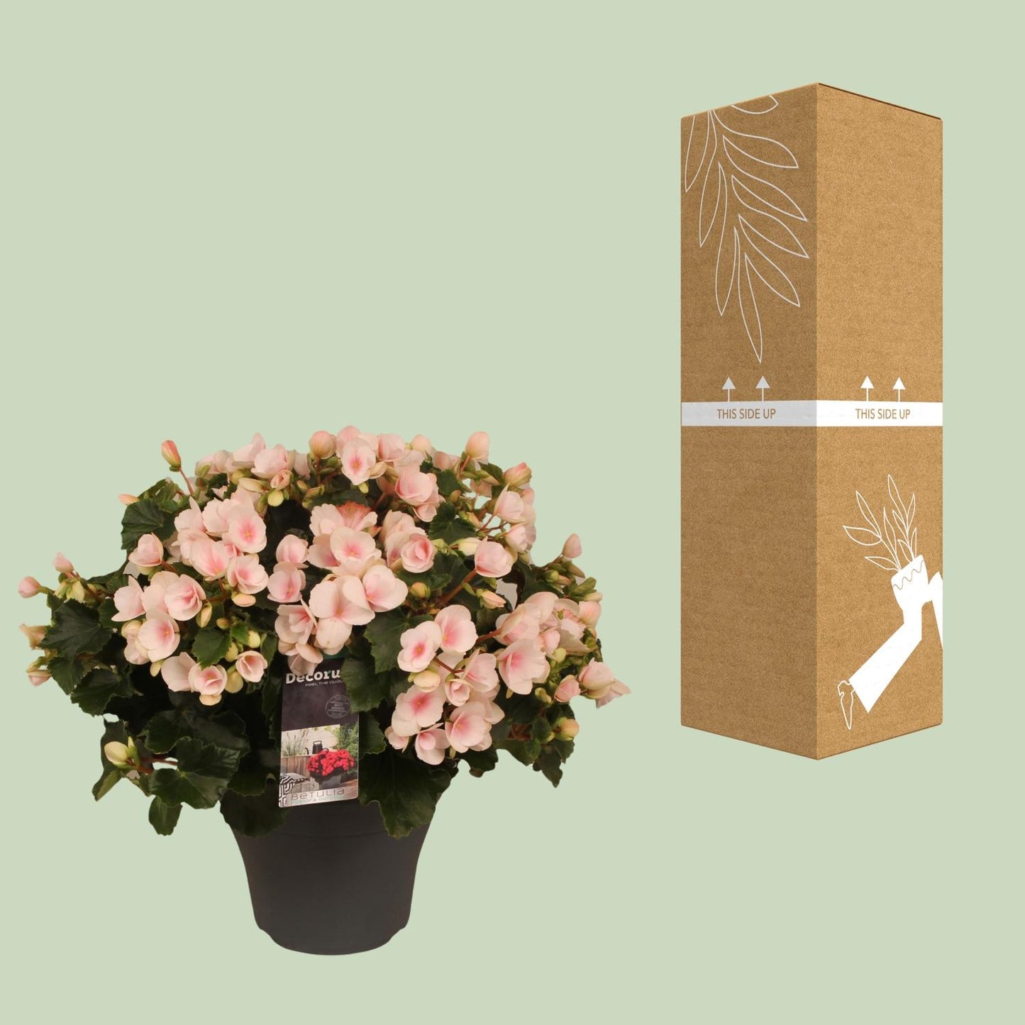 Betulia Light 19cm Outdoor Decorum - Ø19cm - ↕35cm - Pflanzfix24