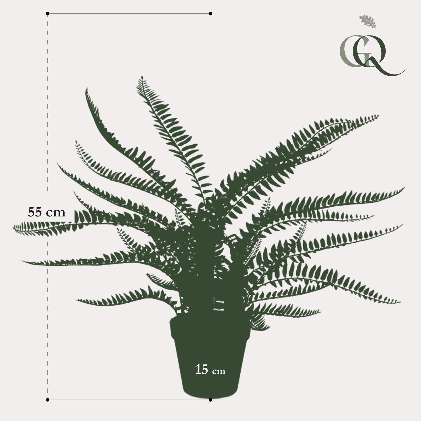 Kunstpflanze Nephrolepis Exaltata Boston Farn 55 cm – Pflegeleicht & Realistisch | Pflanzfix24.de - Pflanzfix24.de