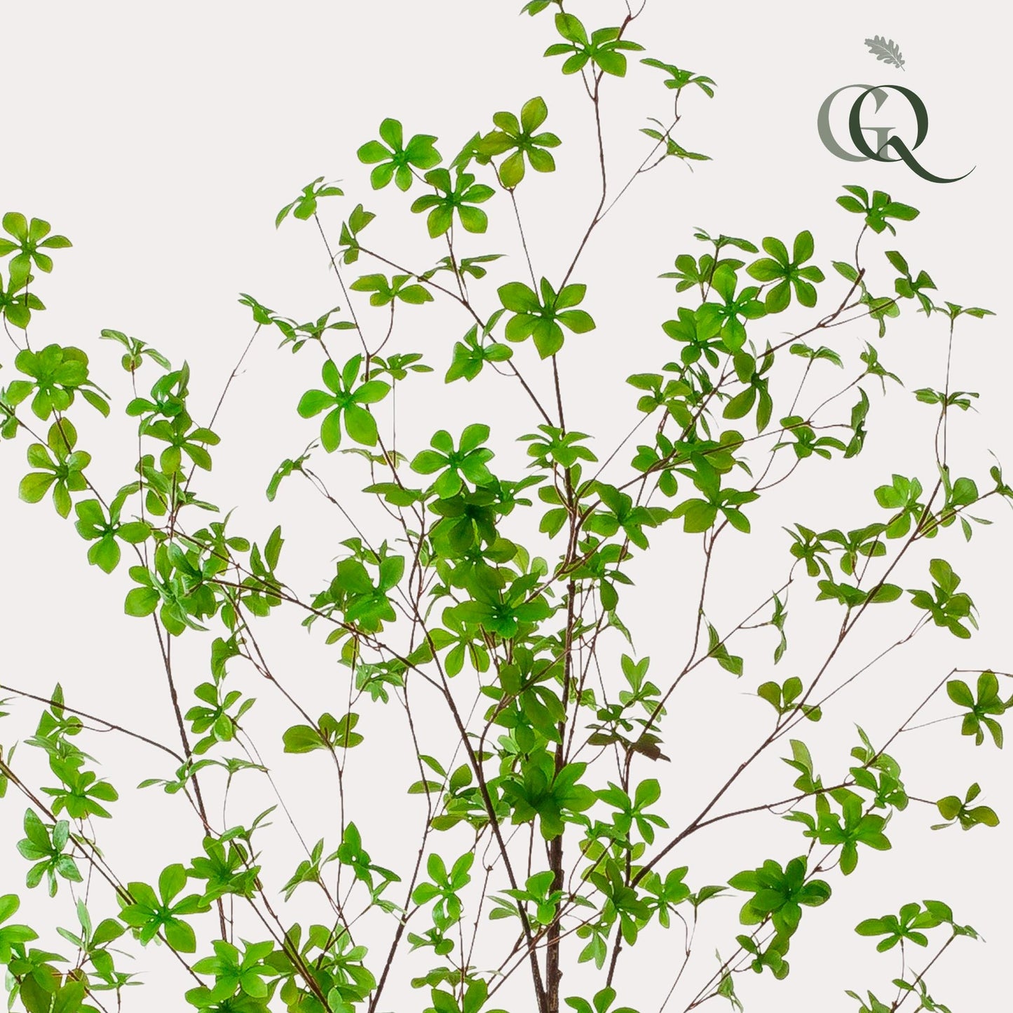 Kunst-Tropaeolum Speciosum 210 cm – Ostindische Kirsche | Pflanzfix24.de - Pflanzfix24.de