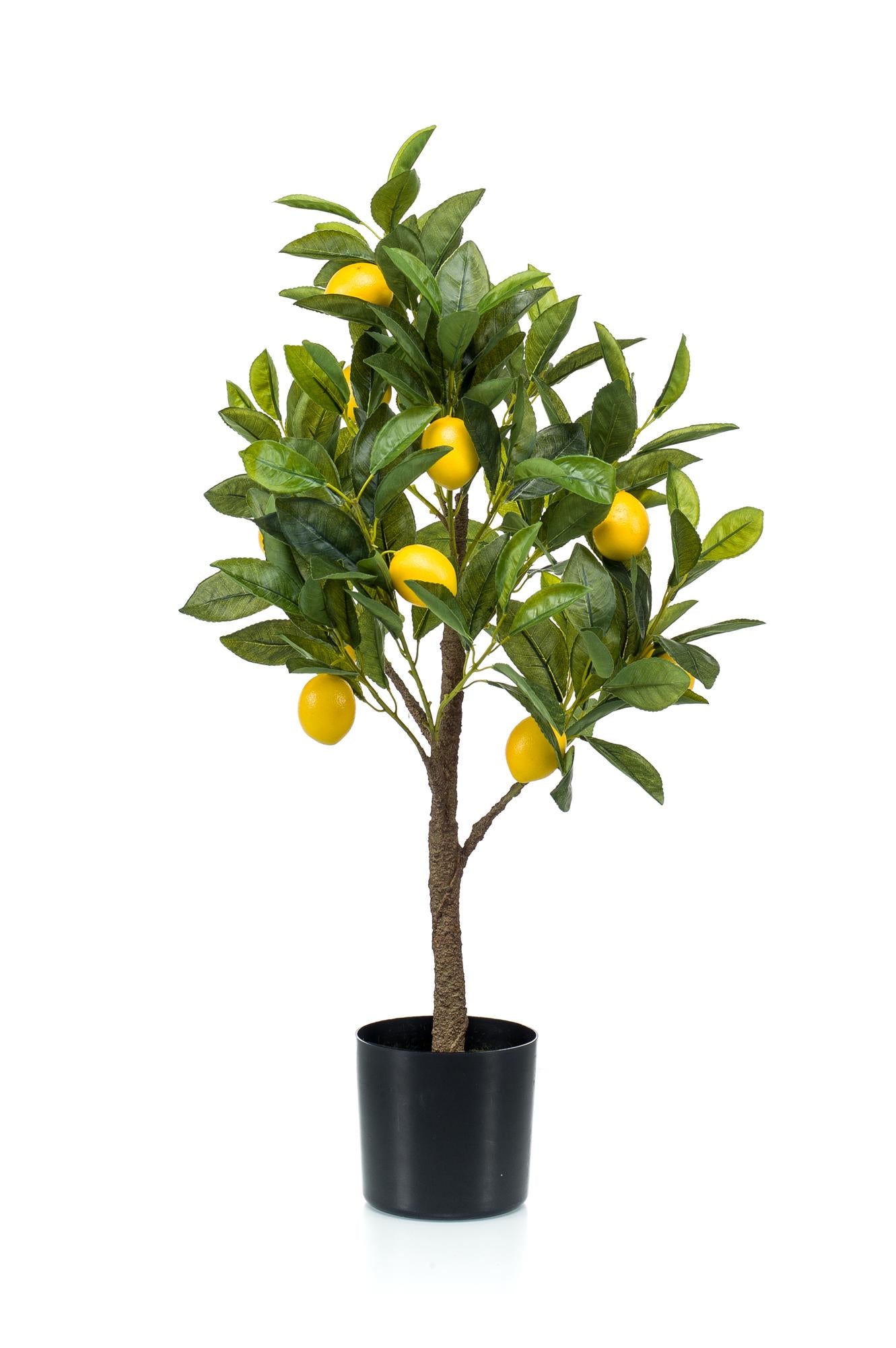 Kunst-Zitronenbaum Citrus Limonia 72 cm – Pflanzfix24.de - Pflanzfix24.de