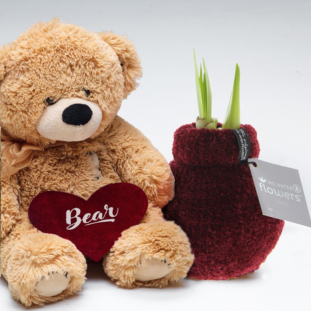 No Water Flowers® Fashionz Cozy Teddy Mix (3er Pack) + Rot Blume - Pflanzfix24