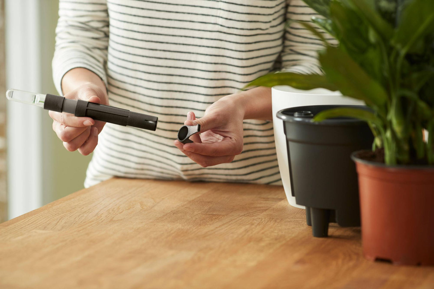 Self Watering Insert 33 cm | Pflanzfix24.de - Pflanzfix24.de