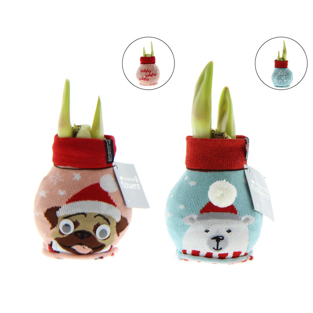 No Water Flowers® Fashionz Xmas Fun Dog & Bear Mix (2 pack) + Red flower - Pflanzfix24