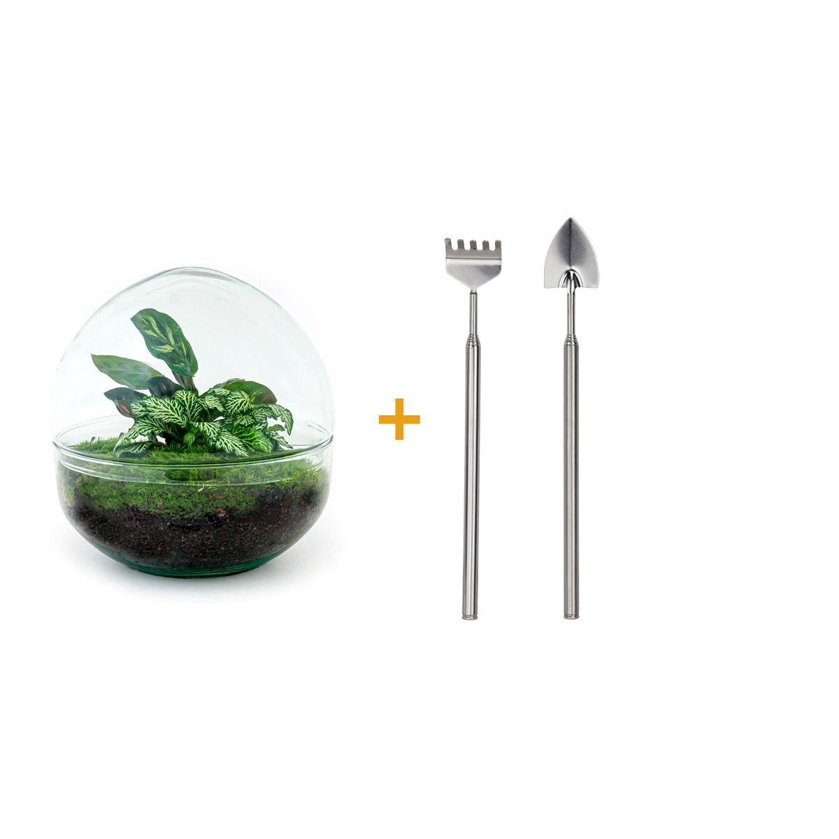 Flaschengarten - DIY Terrarium Set - Dome - ↕ 20 cm - Rake + Shovel - Pflanzfix24.de - Pflanzfix24.de