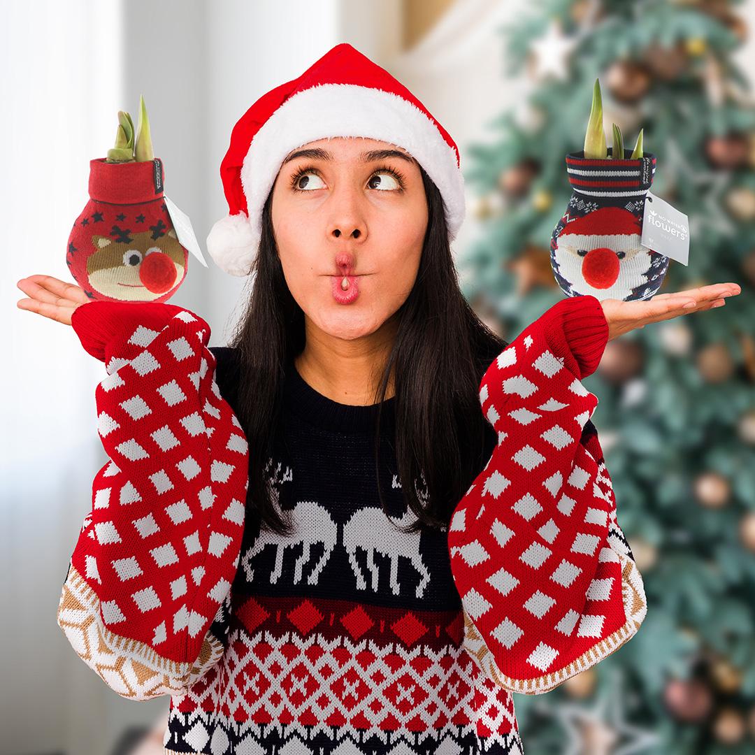 No Water Flowers® Fashionz Xmas Fun Classic Mix (3 pack) + Red flower - Pflanzfix24